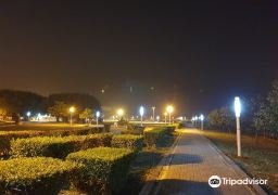 图片描述