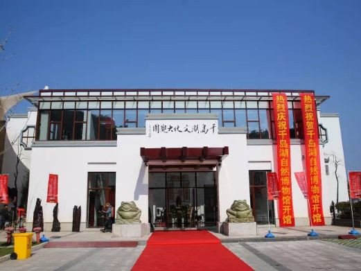 图片描述