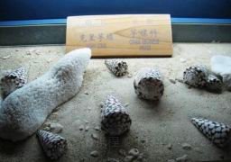 图片描述